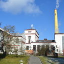Ladovské hody – dřívější ročníky - Velkopopovický pivovar (1)
