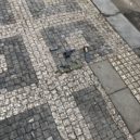 Střelbu v Holešovicích policisté okamžitě zarazili - Policie ČR