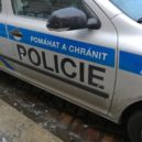 Nepříčetnou ženu museli z bytu zachránit až hasiči - Policie ČR, policejní auto