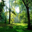 Zámek a park v Dolních Počernicích - Zámecký park Dolní Počernice (1)