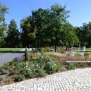 Zámek a park v Dolních Počernicích - Zámecký park Dolní Počernice (5)