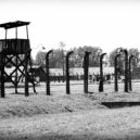 Arnošt Lustig - concentration-camp-1164562_960_720