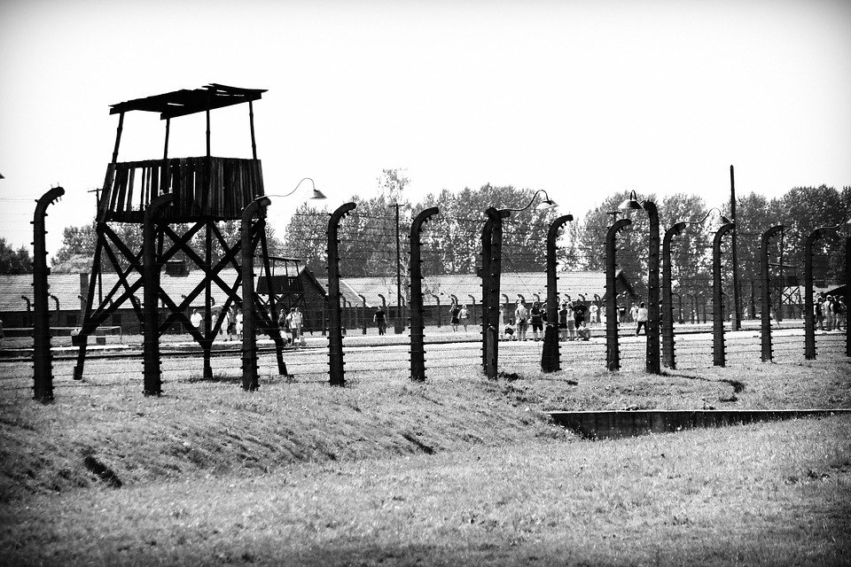 Obrázek #7 z 8