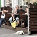 Dát si před restauraci zahrádku nemůže každý - předzahrádka hospoda pivo
