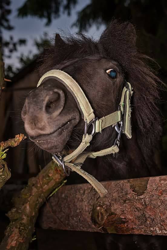 Obrázek #9 z 9