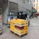 Holubi si pochutnávají na pečivu - Holubi v Albertu