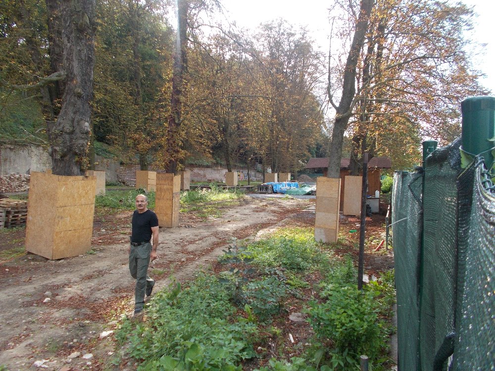 Obrázek #8 z 12