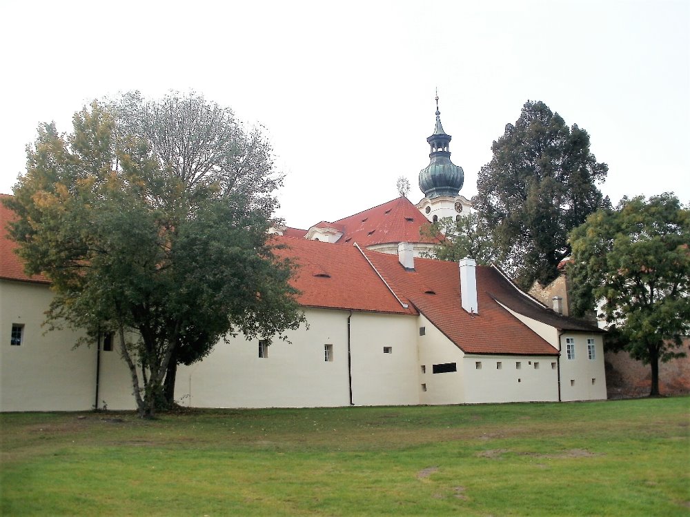 Obrázek #5 z 10