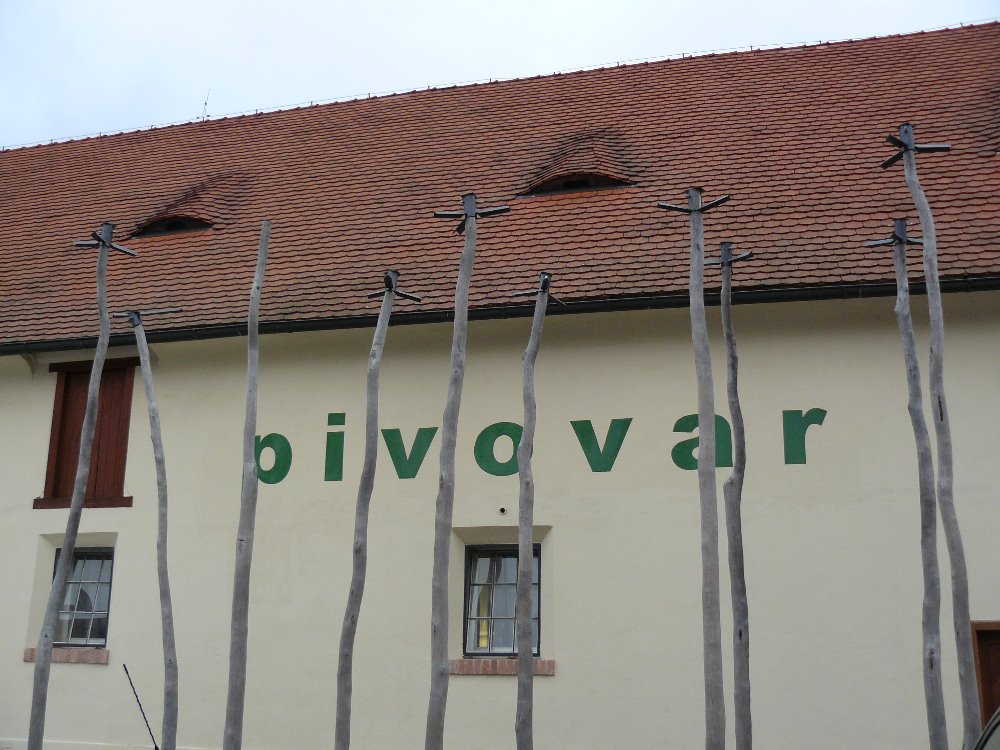 Obrázek #6 z 10