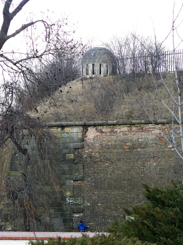 Obrázek #17 z 19