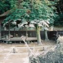 Zahrada Kaštanka ve Stromovce - 7C F1050014