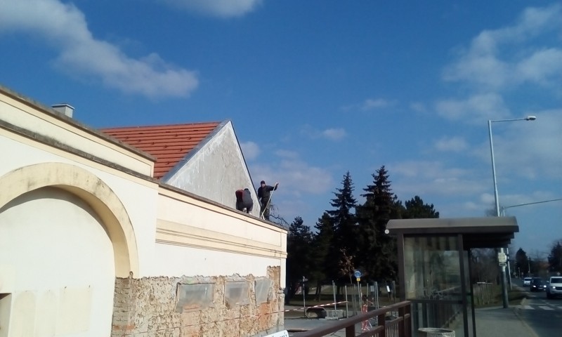 Obrázek #10 z 11