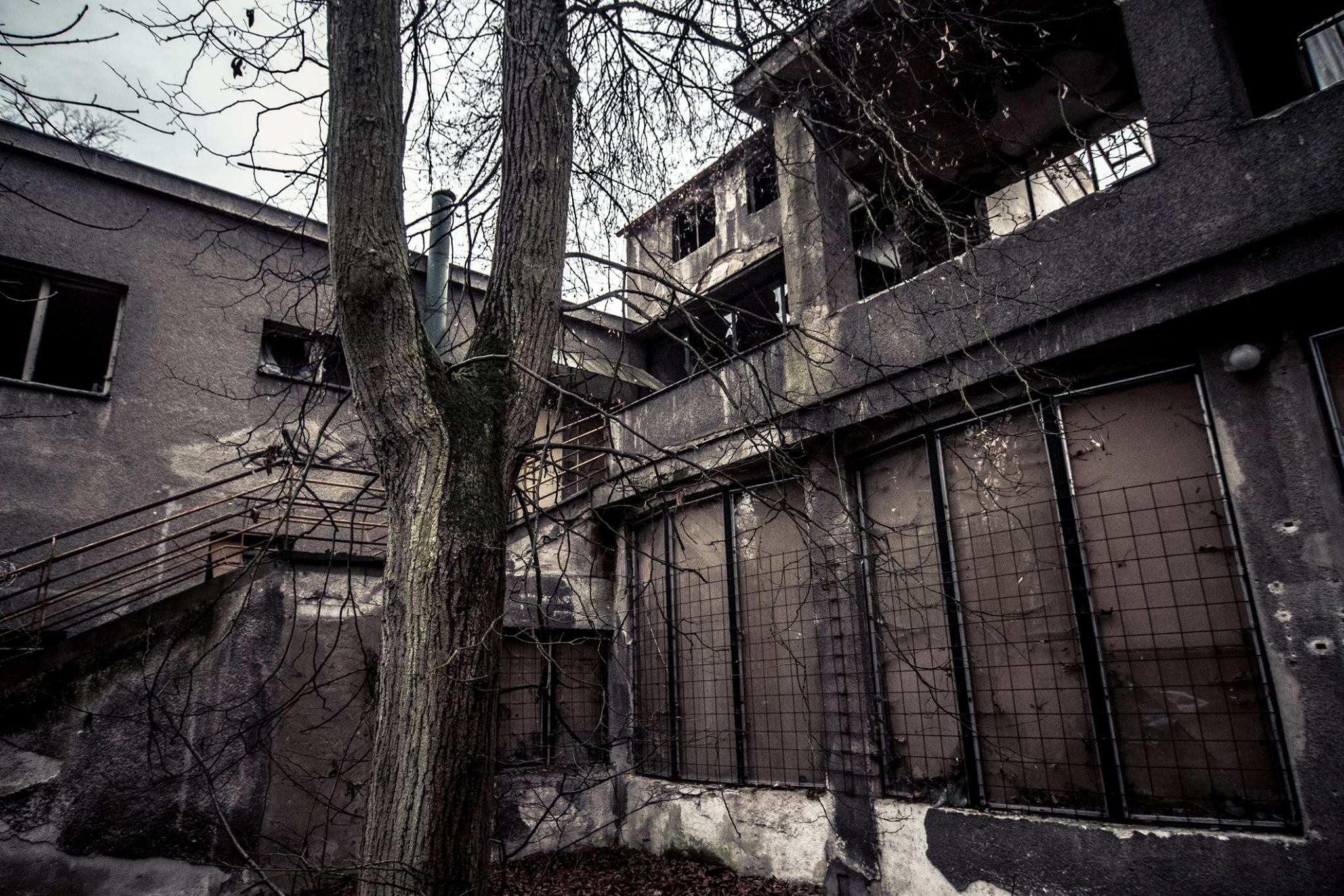 Obrázek #11 z 12