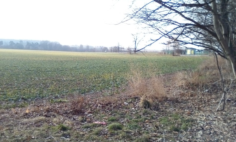Obrázek #7 z 12