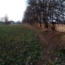 Vinoř – okolí výstavby zimního stadionu - Poblíž míst, kde má stát zimní stadion 4 – foto AC