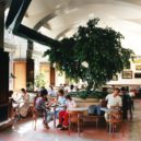 První Mekáč do Česka dorazil v roce 1992 - mcdonald retro