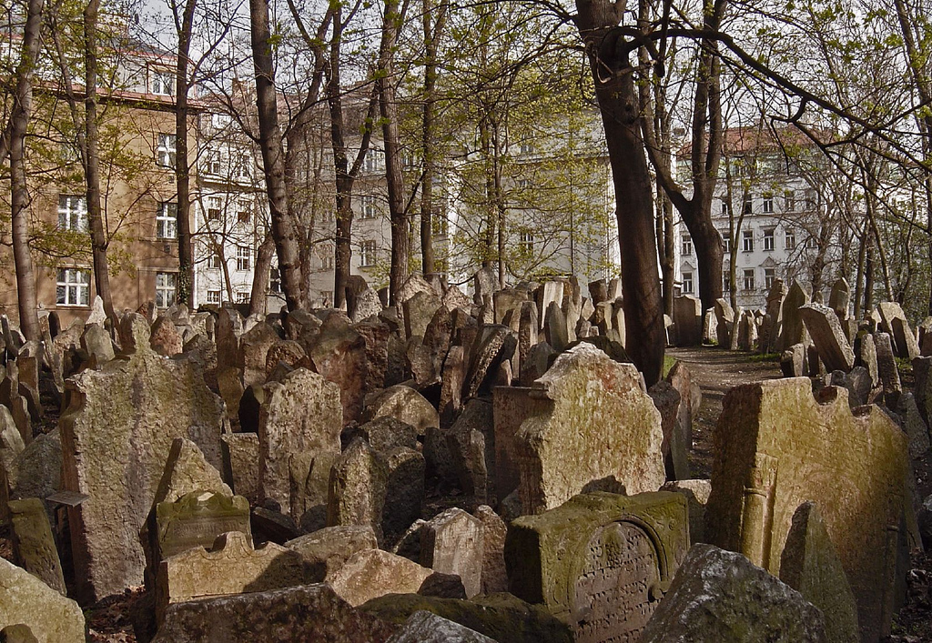 Obrázek #4 z 8