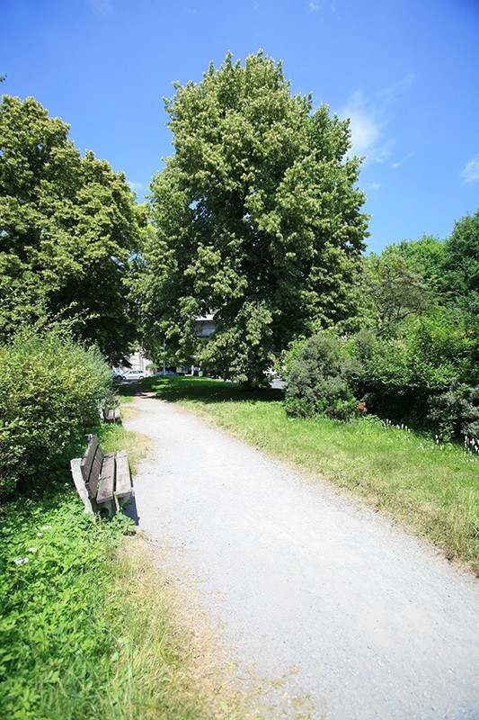 Obrázek #4 z 5