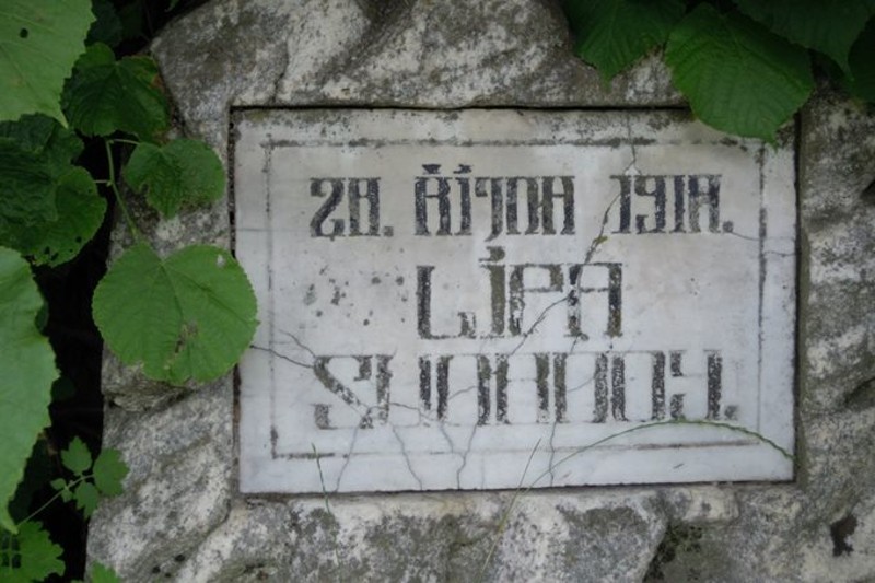 Obrázek #5 z 5