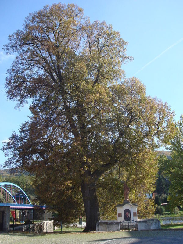 Obrázek #18 z 18