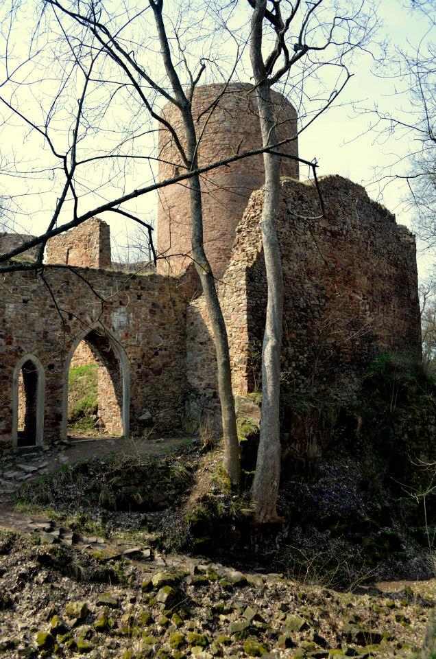 Obrázek #2 z 13