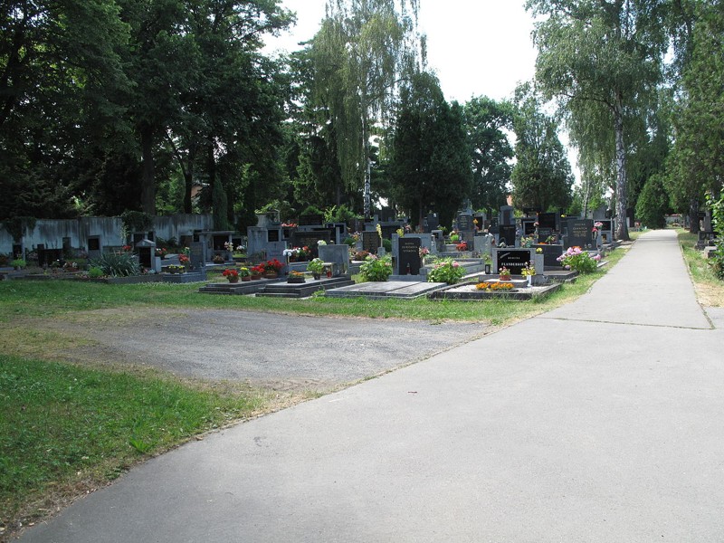 Obrázek #6 z 6