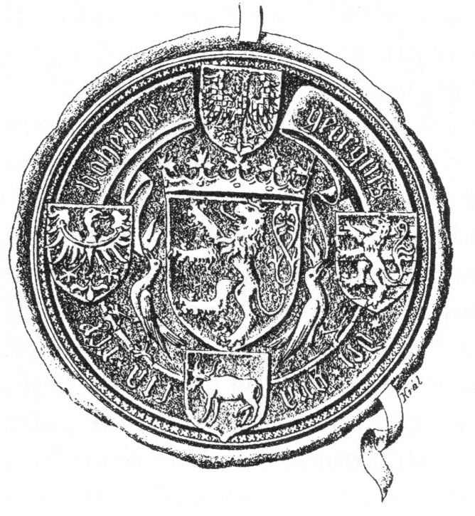Obrázek #8 z 13