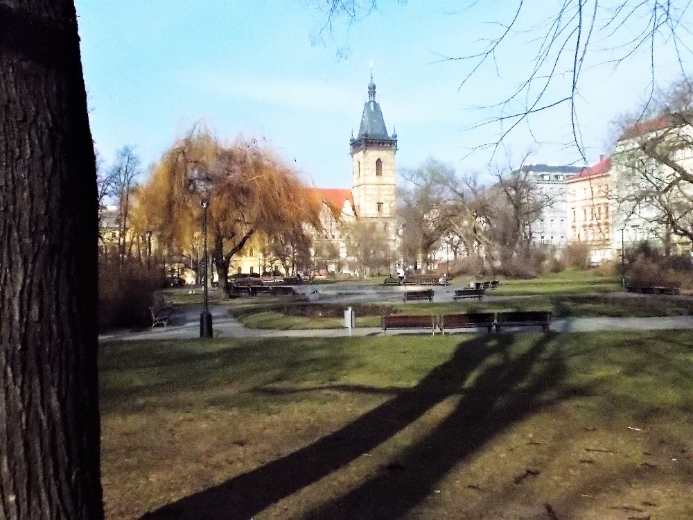 Obrázek #3 z 6