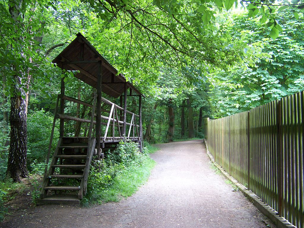 Obrázek #4 z 5