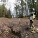 Bohnický hřbitov bláznů, hrad Houska a Branišovský les - Branišovský les Bor – nejstrašidelnější les v Česku