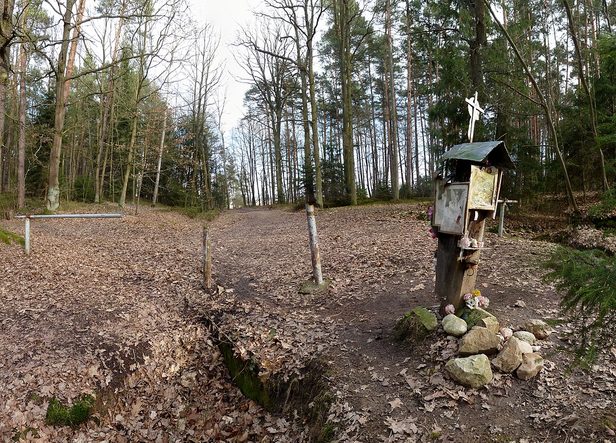 Obrázek #18 z 25