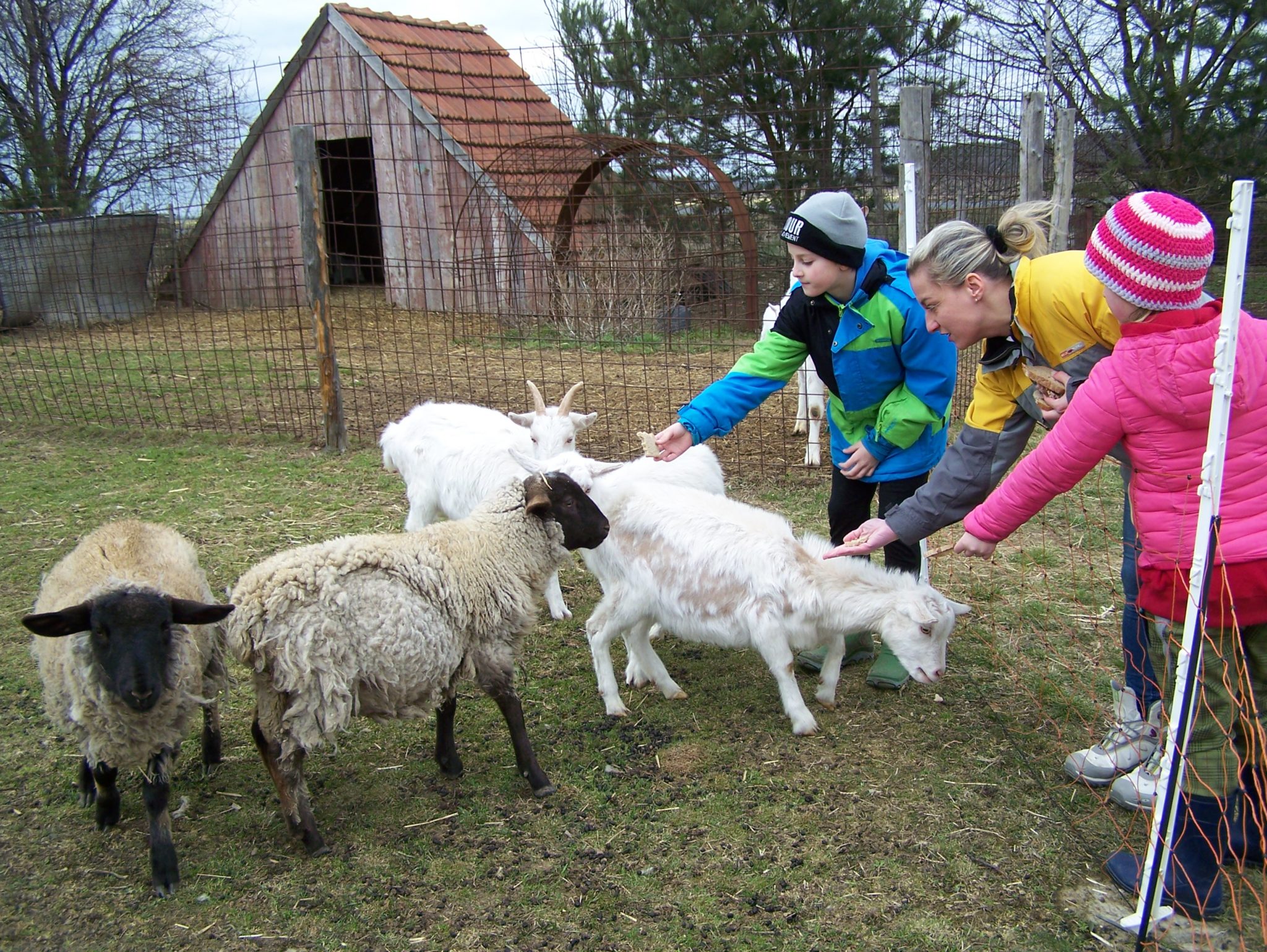Obrázek #16 z 20