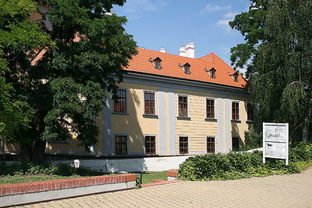 Obrázek #5 z 12