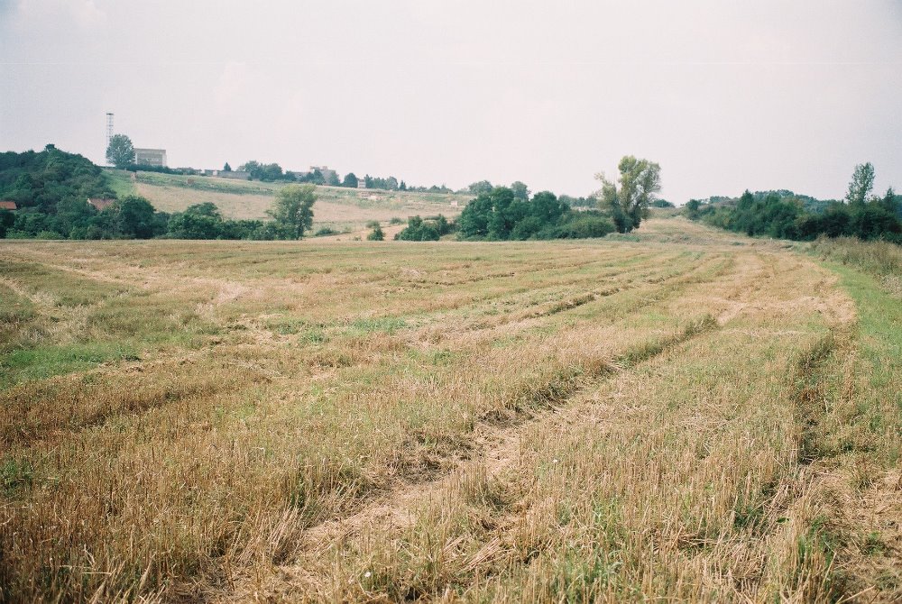 Obrázek #4 z 8