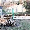 Emauzy – zahrada - Klášter Emauzy