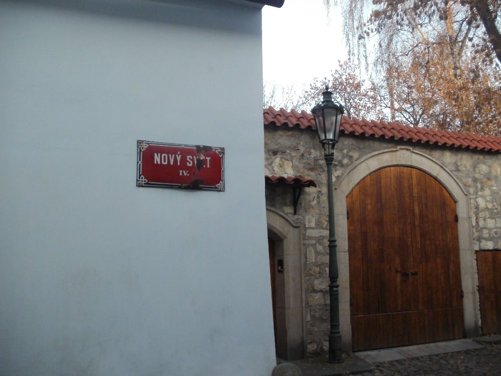 Obrázek #10 z 16