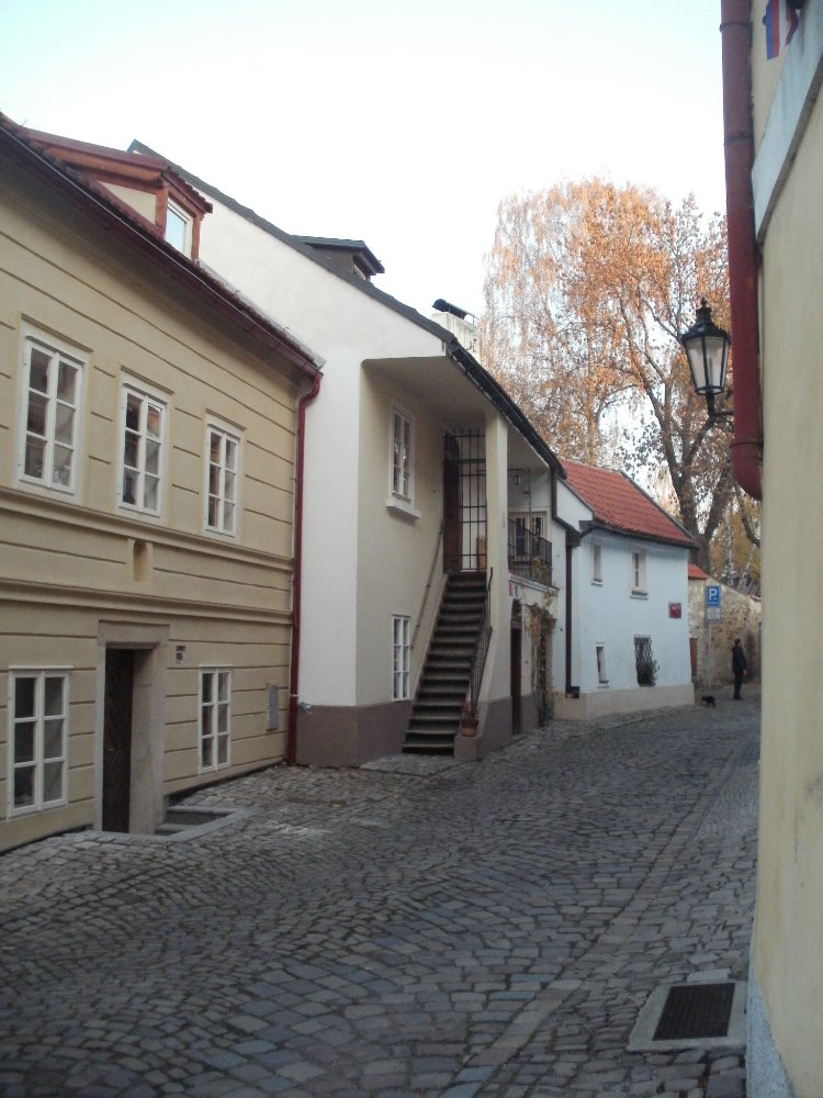 Obrázek #12 z 16