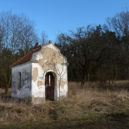 Bohnický hřbitov bláznů, hrad Houska a Branišovský les - Branišovský les Bor – nejstrašidelnější les v Česku