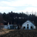 Bohnický hřbitov bláznů, hrad Houska a Branišovský les - Branišovský les Bor – nejstrašidelnější les v Česku