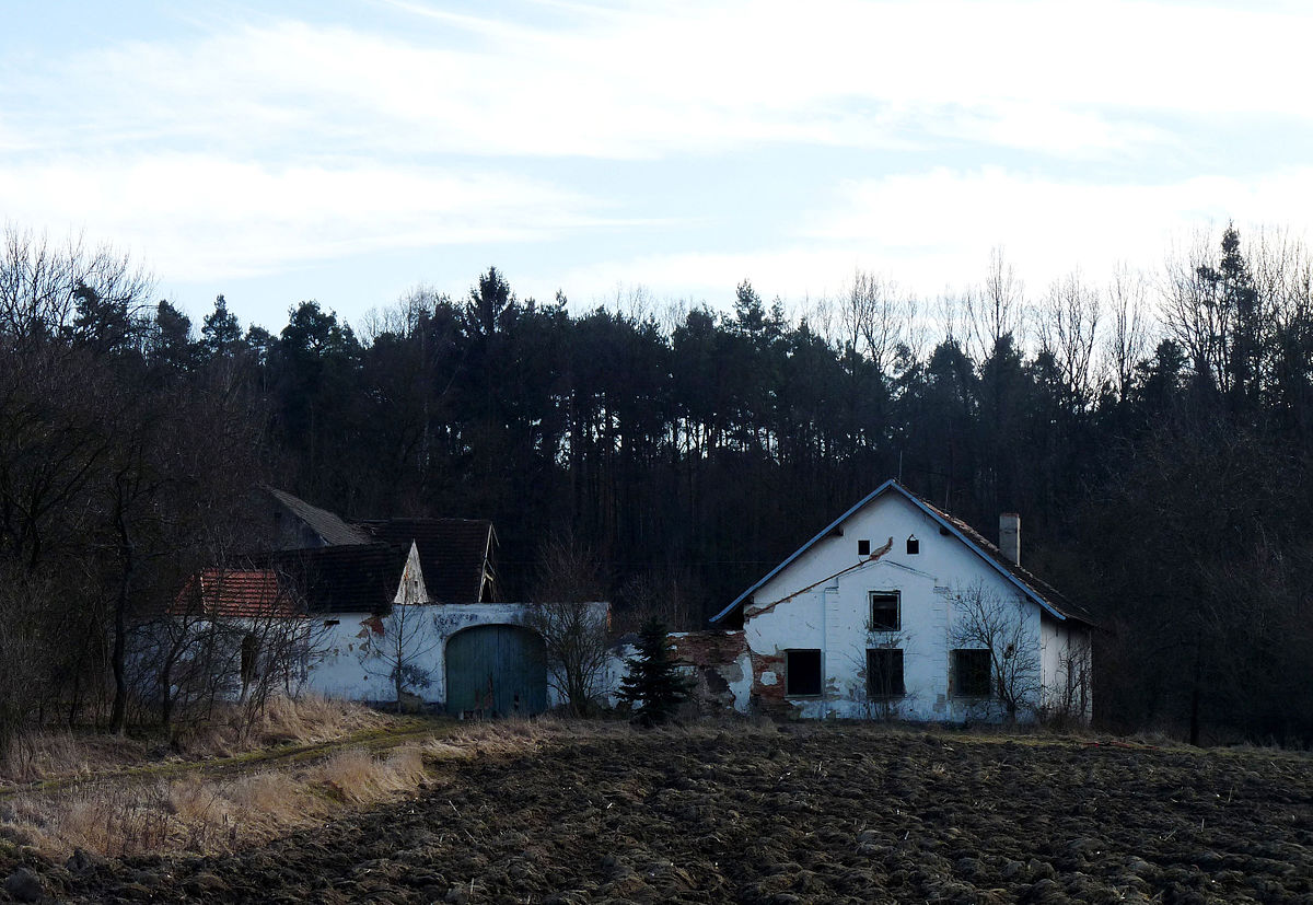 Obrázek #19 z 25