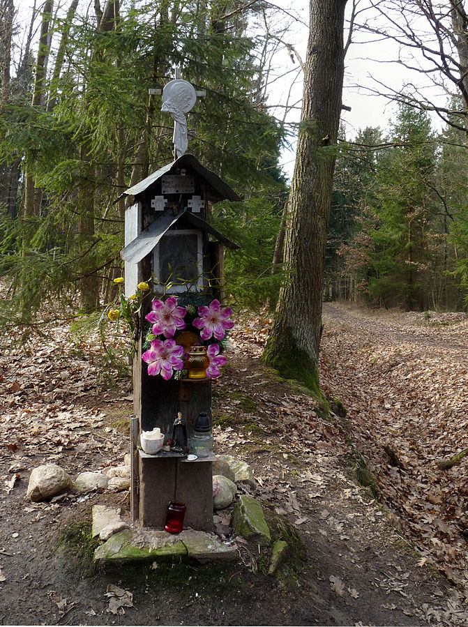 Obrázek #17 z 25