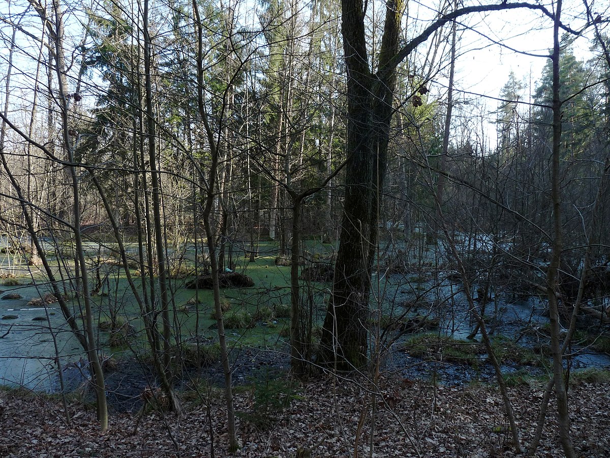 Obrázek #20 z 25