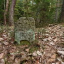 Bohnický hřbitov bláznů, hrad Houska a Branišovský les - Branišovský les Bor – nejstrašidelnější les v Česku