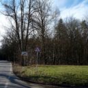 Bohnický hřbitov bláznů, hrad Houska a Branišovský les - Branišovský les Bor – nejstrašidelnější les v Česku