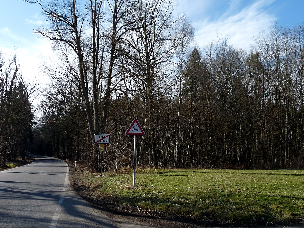 Obrázek #23 z 25