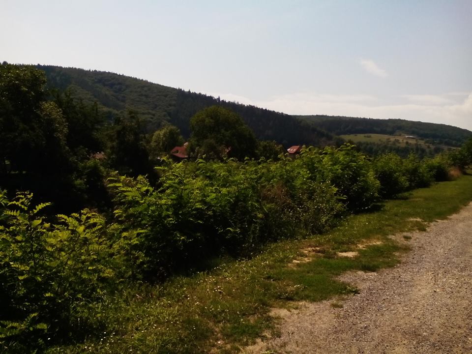 Obrázek #3 z 7