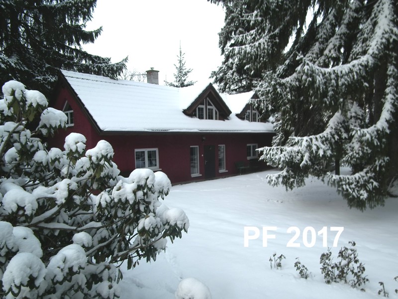 Obrázek #8 z 12