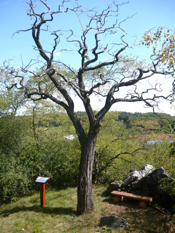 Obrázek #4 z 7
