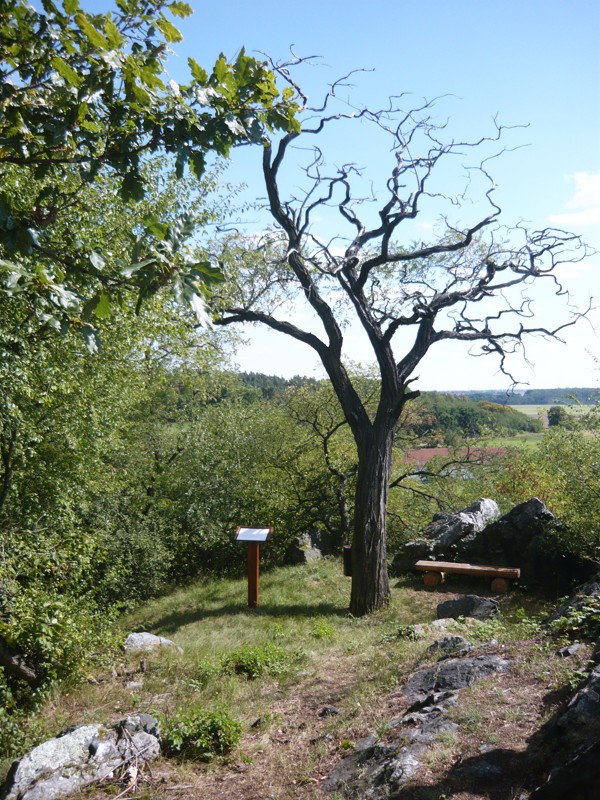Obrázek #2 z 7