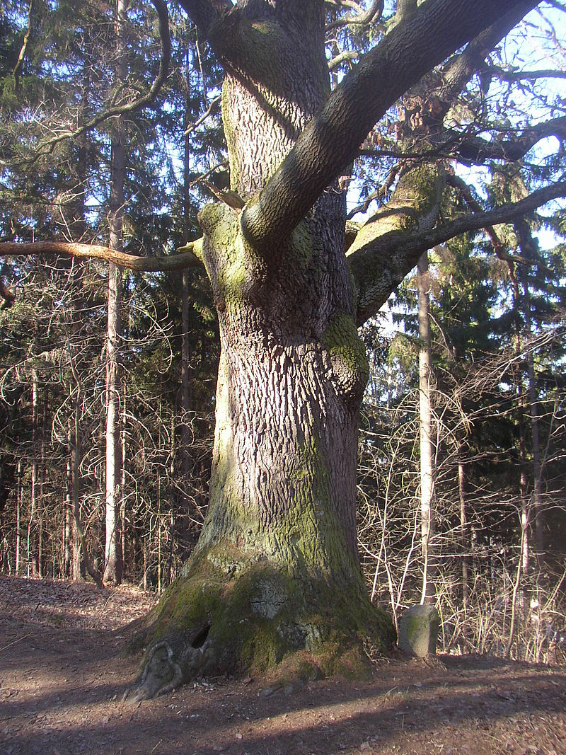 Obrázek #4 z 14